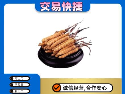 塔城礼品回收散虫草.jpg